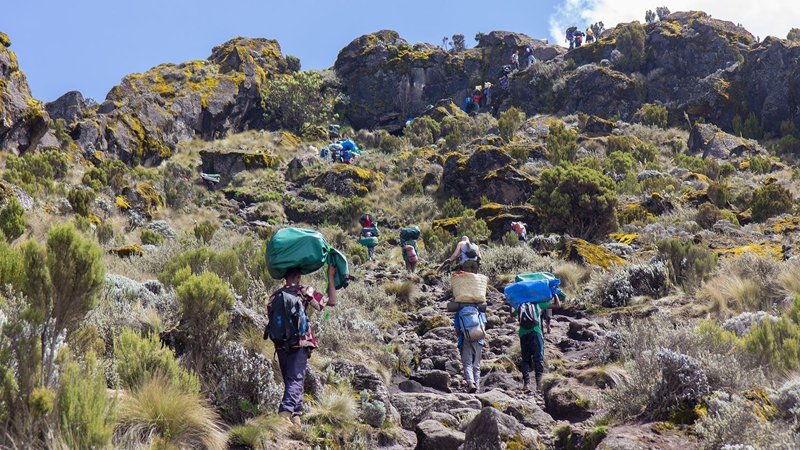 Mount-Kilimanjaro-Marangu-route-img