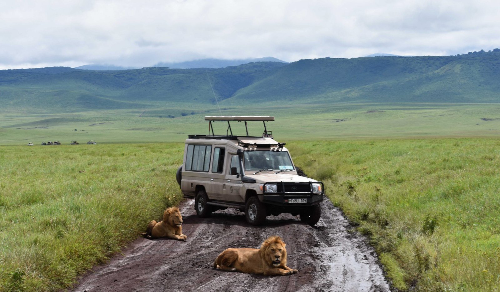 The Ngorongoro crater img