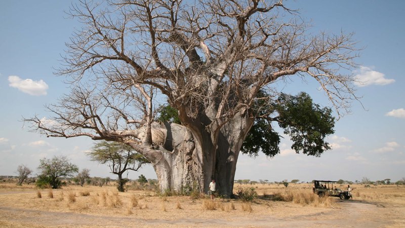The-Selous-Game-Reserve-img